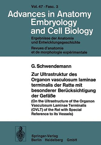 Zur Ultrastruktur des Organon vasculosum laminae terminalis der Ratte mit besonderer Berücksichtigung der Gefäße