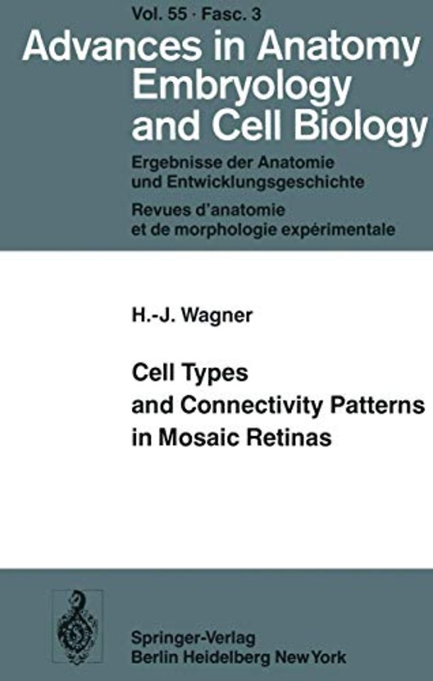 Cell Types and Connectivity Patterns in Mosaic Retinas