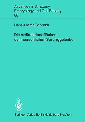 Die Artikulationsflächen der menschlichen Sprunggelenke