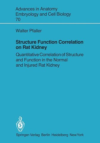 Structure Function Correlation on Rat Kidney