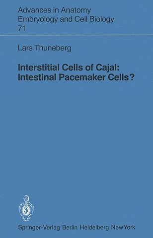 Interstitial Cells of Cajal: Intestinal Pacemaker Cells?