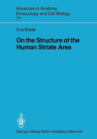 On the Structure of the Human Striate Area