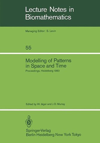 Modelling of Patterns in Space and Time