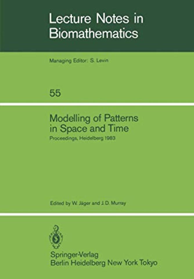 Modelling of Patterns in Space and Time