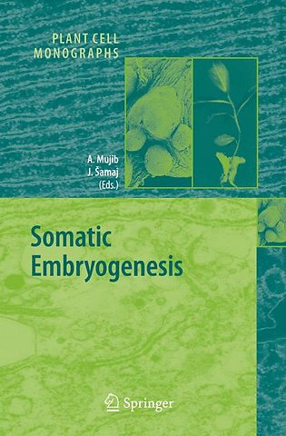Somatic Embryogenesis