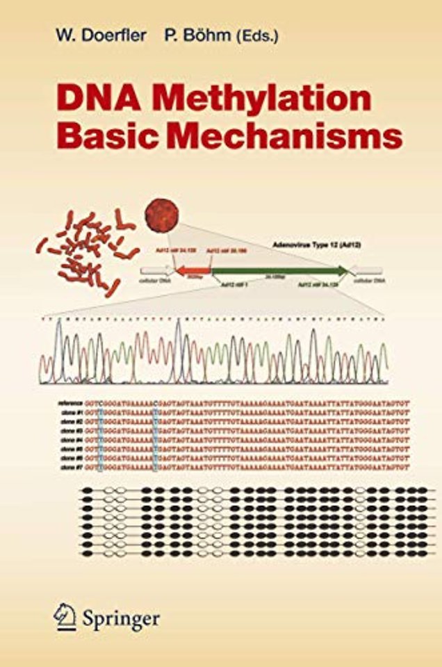 DNA Methylation: Basic Mechanisms