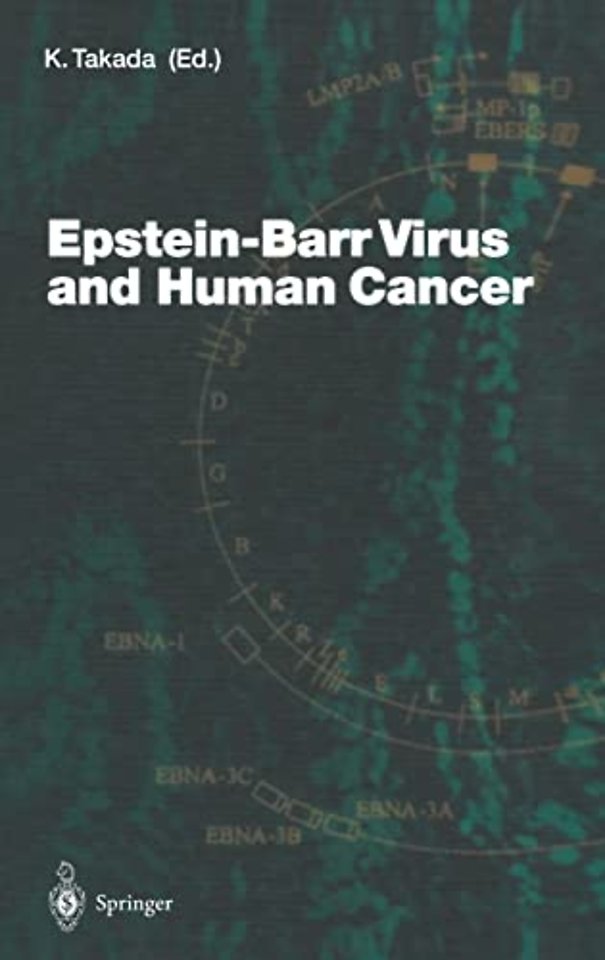 Epstein-Barr Virus and Human Cancer