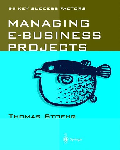 Managing e-business Projects