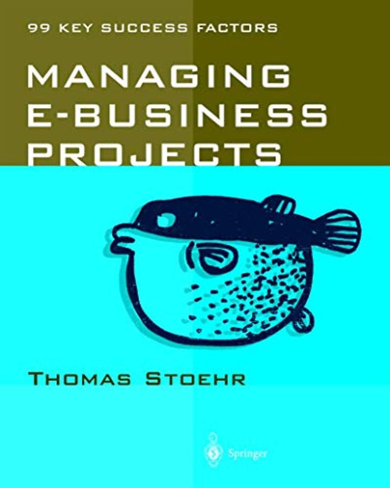 Managing e-business Projects