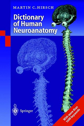 Dictionary of Human Neuroanatomy