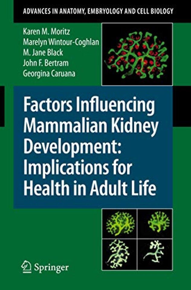 Factors Influencing Mammalian Kidney Development: Implications for Health in Adult Life