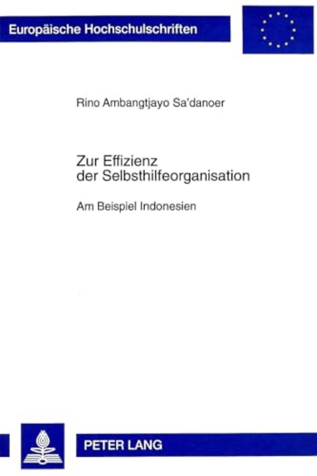 Zur Effizienz der Selbsthilfeorganisation