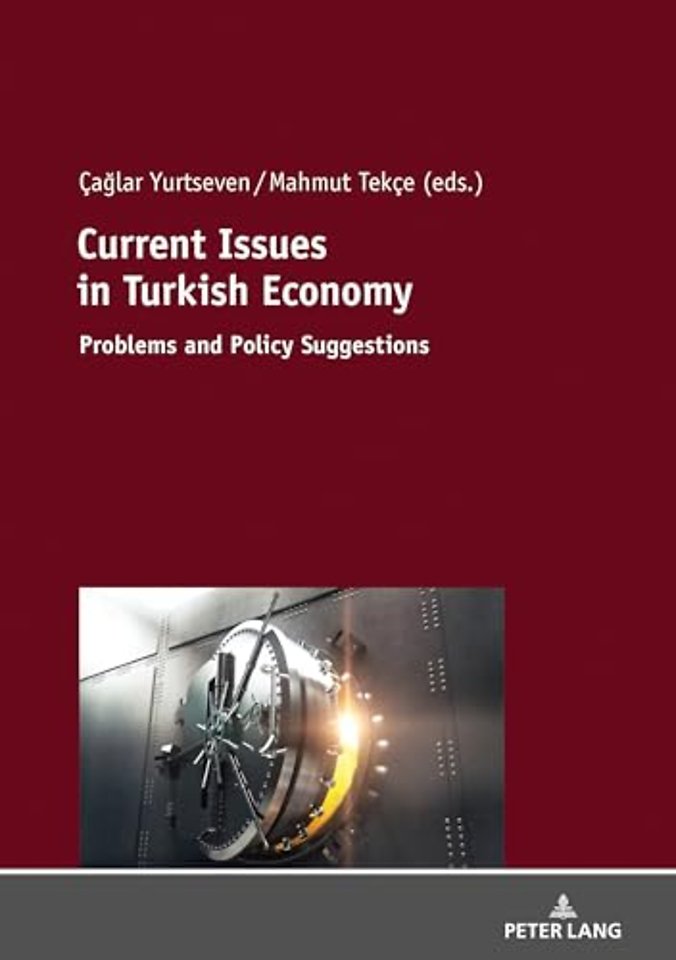 Current Issues in Turkish Economics