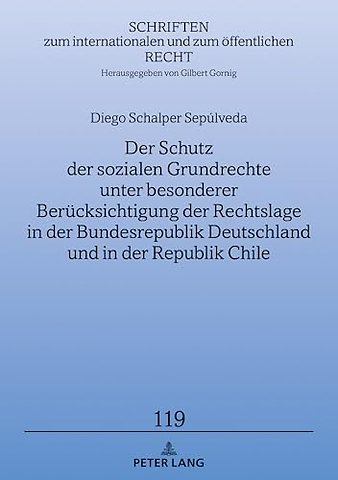 Der Schutz Der Sozialen Grundrechte Unter Besonderer Beruecksichtigung Der Rechtslage in Der Bundesrepublik Deutschland Und in Der Republik Chile