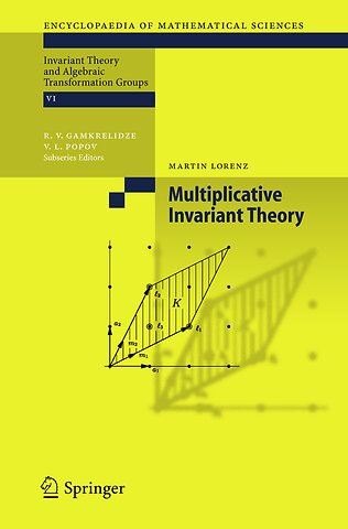 Multiplicative Invariant Theory