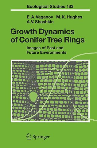 Growth Dynamics of Conifer Tree Rings