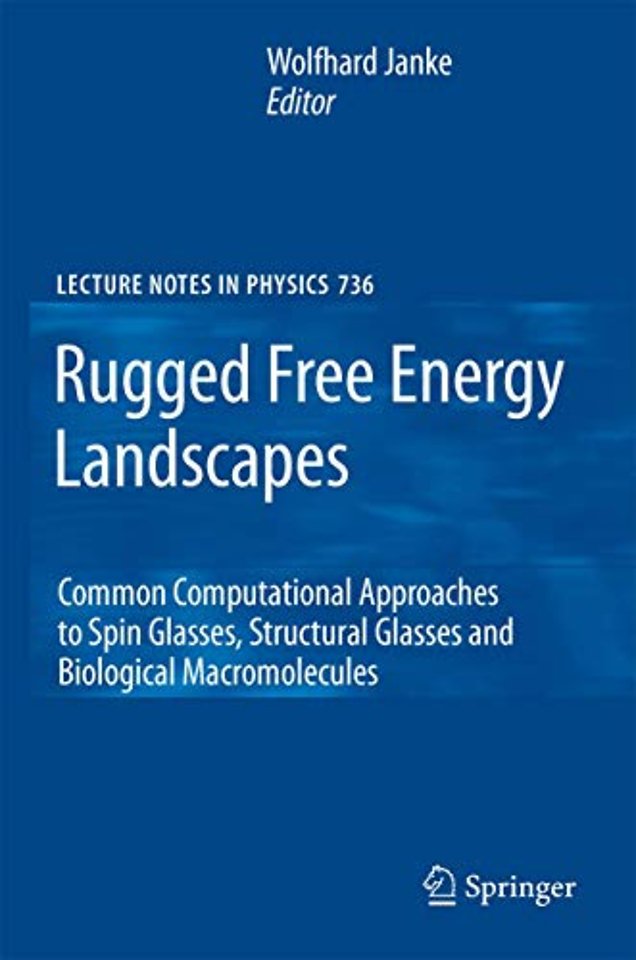 Rugged Free Energy Landscapes