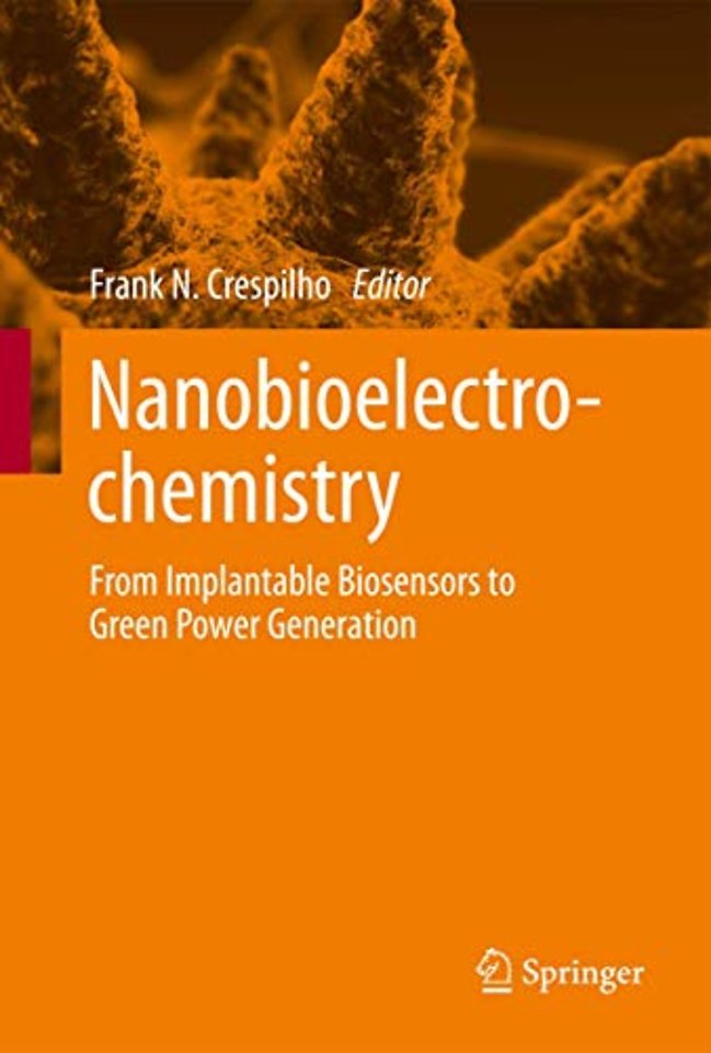 Nanobioelectrochemistry