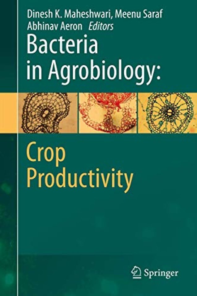 Bacteria in Agrobiology: Crop Productivity