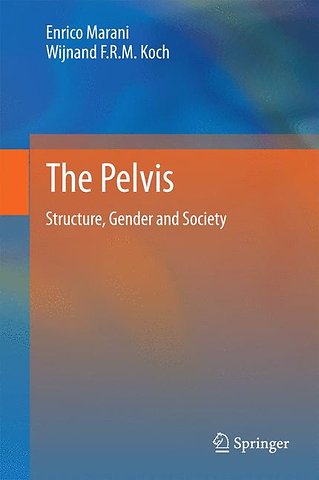 The Pelvis