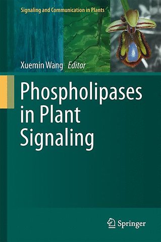 Phospholipases in Plant Signaling