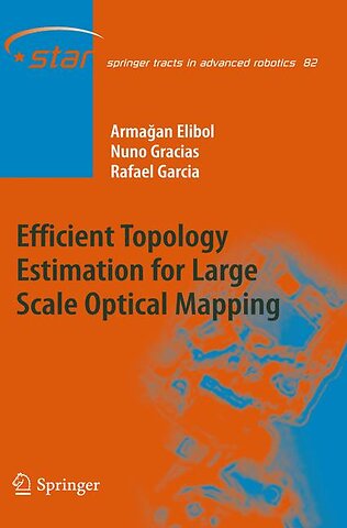 Efficient Topology Estimation for Large Scale Optical Mapping