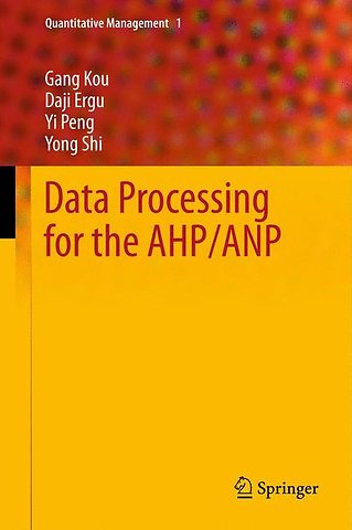 Data Processing for the AHP/ANP