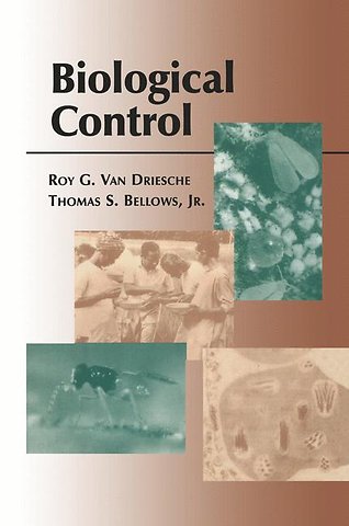 Quantitative Modelle und nachhaltige Ansätze der Unternehmungsführung