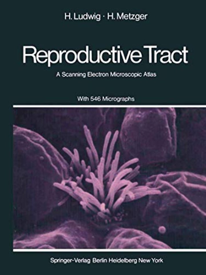 The Human Female Reproductive Tract