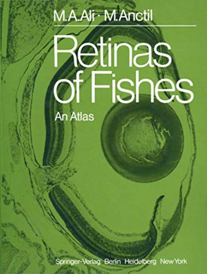 Retinas of Fishes