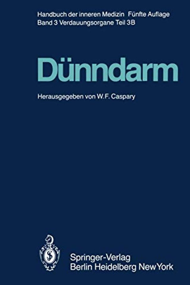 Dünndarm B