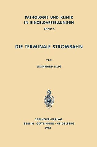 Die Terminale Strombahn