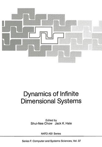Dynamics of Infinite Dimensional Systems