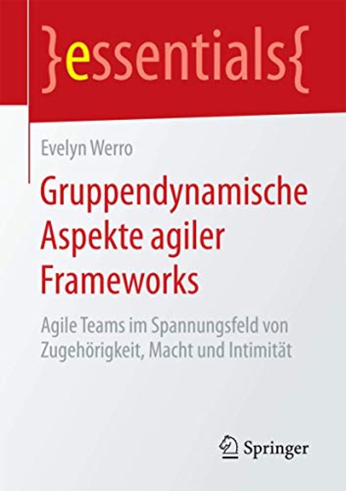 Gruppendynamische Aspekte agiler Frameworks
