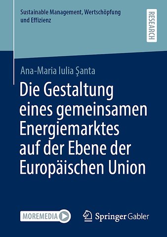 Die Gestaltung eines gemeinsamen Energiemarktes auf der Ebene der Europäischen Union