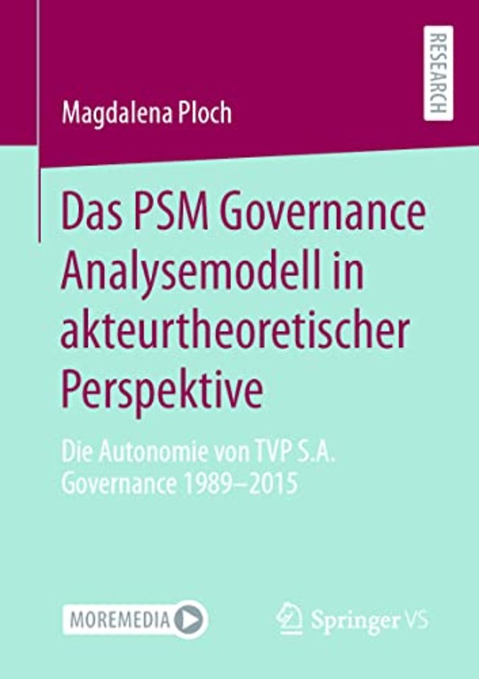 Das PSM Governance Analysemodell in akteurtheoretischer Perspektive