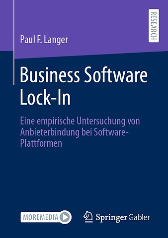 Business Software Lock-In