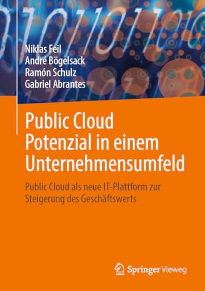 Public Cloud Potenzial in einem Unternehmensumfeld