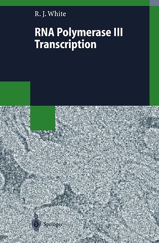 RNA Polymerase III Transcription