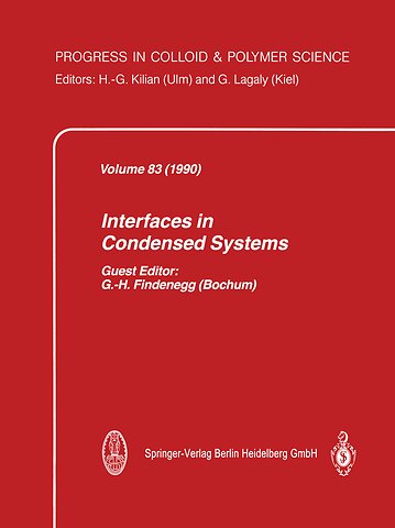 Interfaces in Condensed Systems