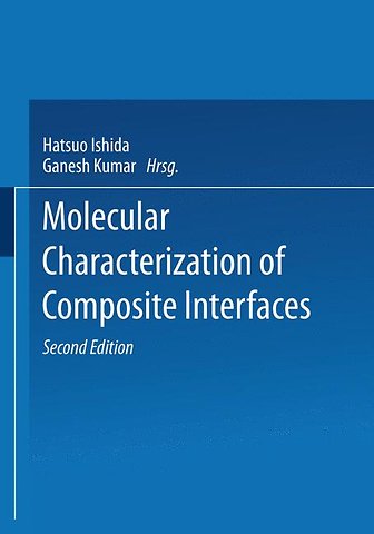Molecular Characterization of Composite Interfaces