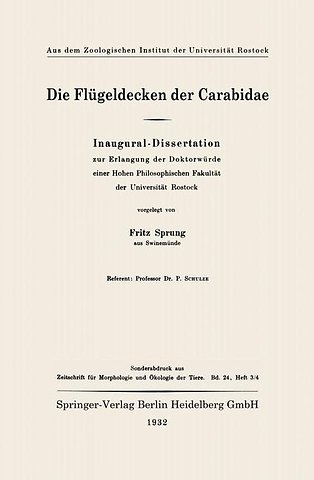 Die Flügeldecken der Carabidae