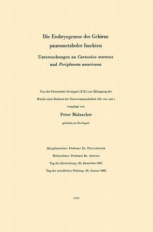 Die Embryogenese des Gehirns paurometaboler Insekten