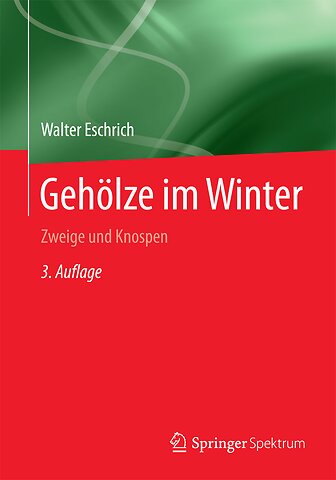Gehölze im Winter