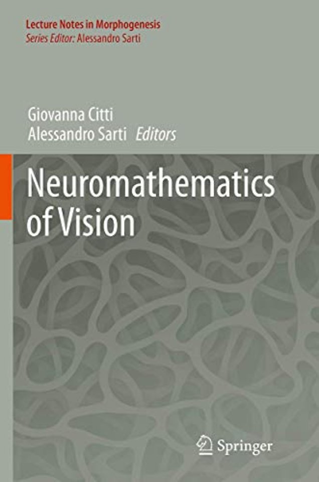 Neuromathematics of Vision
