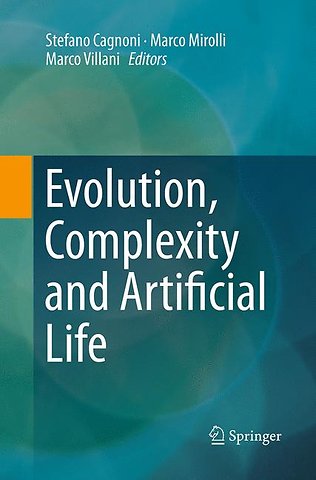 Evolution, Complexity and Artificial Life