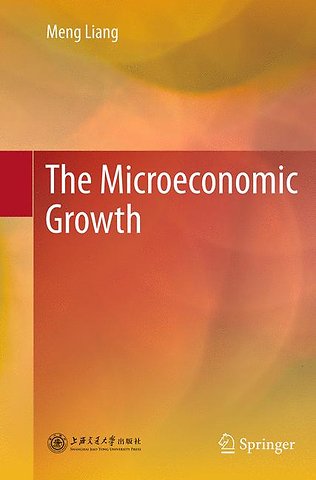 The Microeconomic Growth