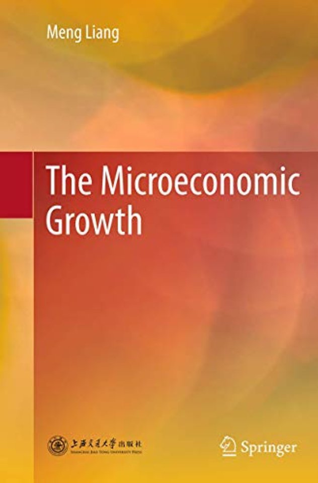 The Microeconomic Growth