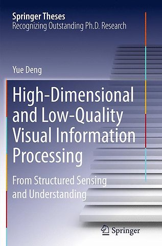 High-Dimensional and Low-Quality Visual Information Processing