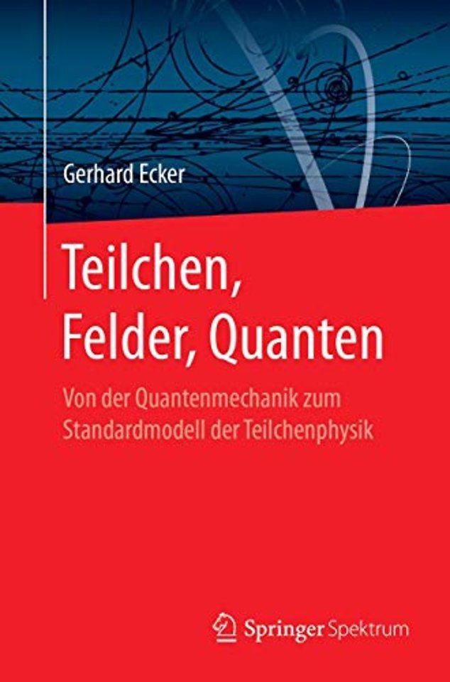 Teilchen, Felder, Quanten